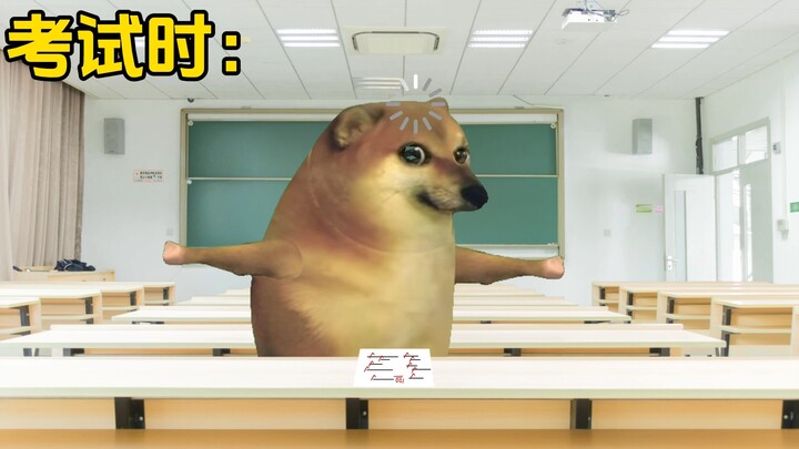 考试前和考试中的区别！