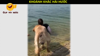 NHỮNG KHOẢNH KHẮC HÀI HƯỚC P5