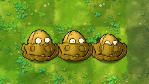 Plant Fusion 296: Nutty Pumpkin!