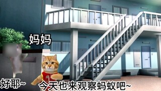 [Cat Meme] Tôi vô tình biết được sự thật về ký ức tuổi thơ tươi đẹp của mình khi trò chuyện