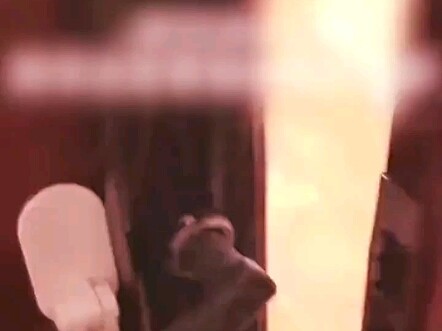 Anjing ini terlalu lemot