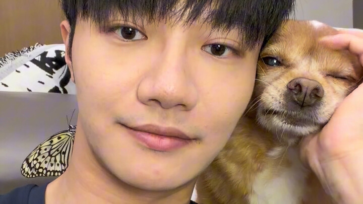 I want to dedicate this video to the fans of the Four Little Ones.