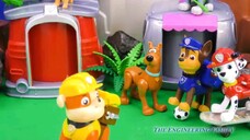Paw Patrol Transformations Scooby Doo and gand use the Pup 2 Hero Changers