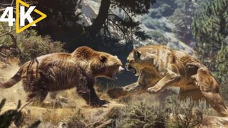 National Geographic Animals Fighting Documentary