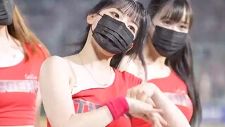 [4K] Lee Da Hye’s skin is so amazing, the people in the front row can’t stop drooling!!!