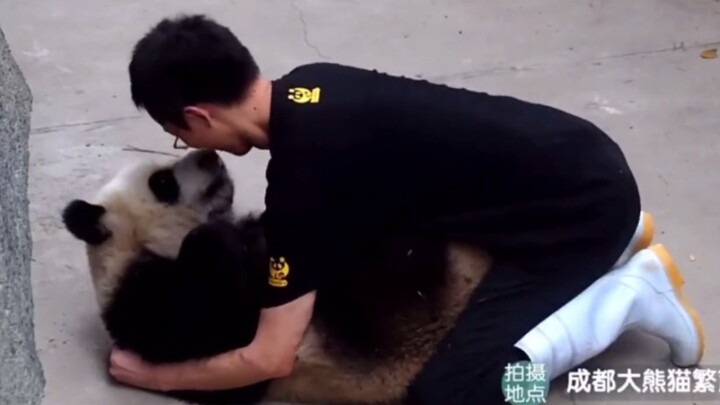 جي شياو: نمت ليلة واحدة على الأرض، وفجأة أصبحت مشهورًا بين عشية وضحاها!