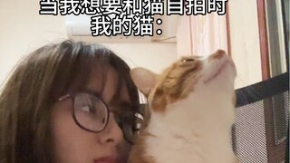 Cái lạnh lẽo thực sự không phải là cãi vã ầm ĩ...
