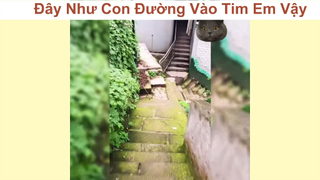 Đường vào tim em vừa dài lại khó đi =))) #funny #haihuoc