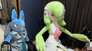 [多用途]宝可梦中心限定 1.7沙奈朵 玩家到货实物