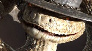 "Rango" Why don't you pull out your gun and shoot me?