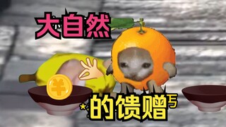 【猫meme】感谢大自然的“馈赠”💓😏