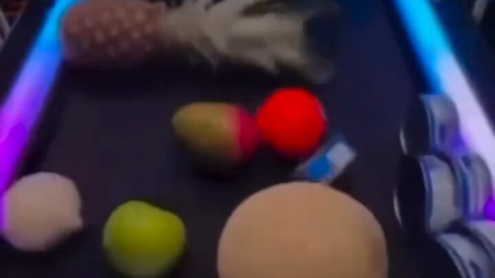 Awesome dad! Onion-san!