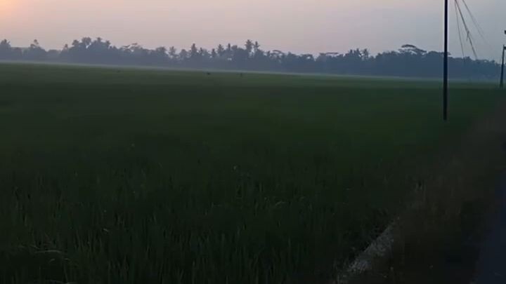 BAKAL MAKMUR