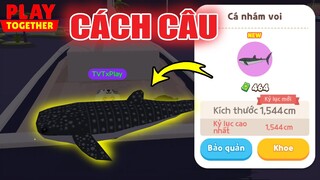 Đã Tìm Ra Cách "Câu Cá Nhám Voi" Dễ Nhất, Thời Gian + Cách Lọc Lên Nhiều B5 Nhất | Play Together