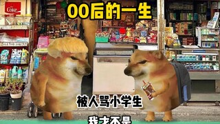 00后的一生