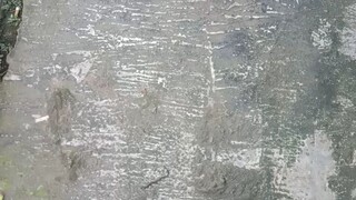 jalani hidup ini dengan bahagia