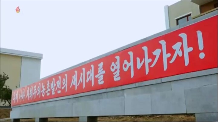 Preparativos para construção de moradias rurais e cultivo e pesquisa sobre cogumelos