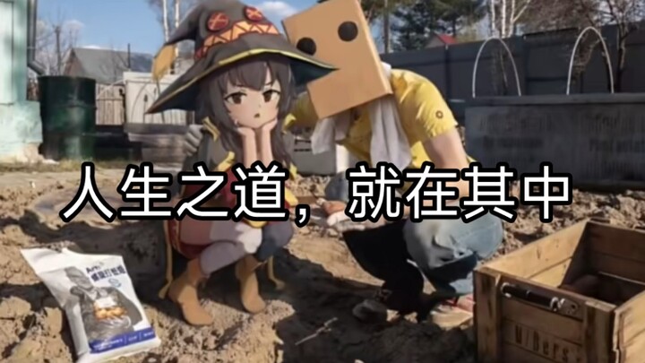 “我爱上了一群不存在的人”