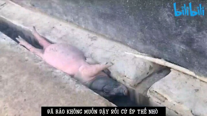 Bạn ai thì ra lôi về này