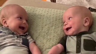 [Healing] Cute twin babies~