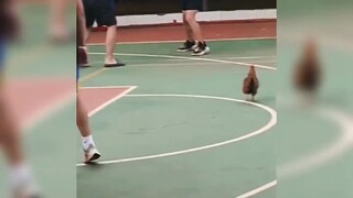 คำตอบสุดเจ๋งที่ทำให้ชาวเน็ตลั่นฮา