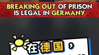 في ألمانيا، هل الهروب من السجن قانوني؟؟؟