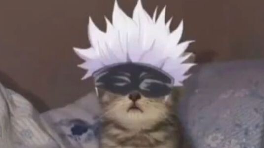 Meong~ Meong-meong (Huu~ Seru!)