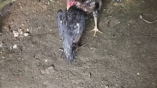 Part 2