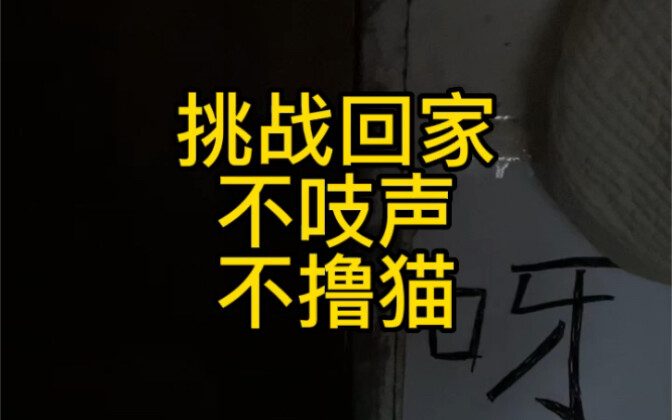 The moment the door opened, I was truly healed.