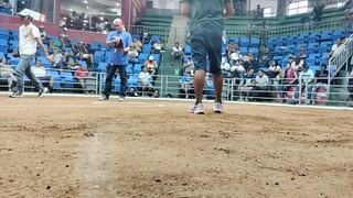 gallera de leganes
