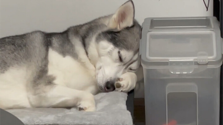 Hôi thì hôi, sao càng ngửi lại càng phê thế nhỉ?