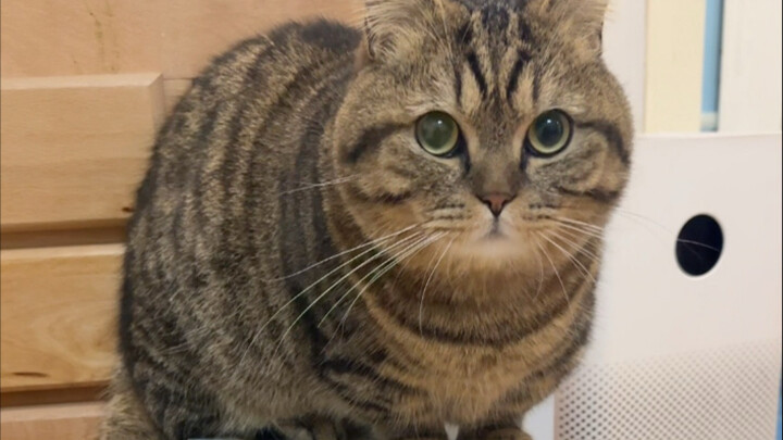 See that! I’m about to eat a week’s worth of food right now!