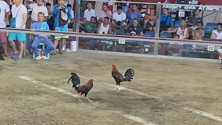 FIRST FIGHT 2 HITS ULUTAN CHAMPION #QUEZON COCKPIT ARENA