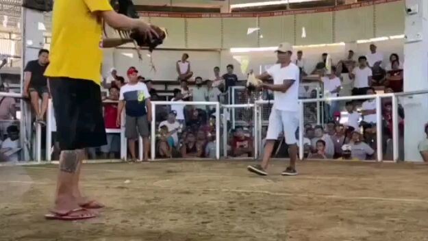 2 hits Grey line At Culis Bataan Cockpit Arena