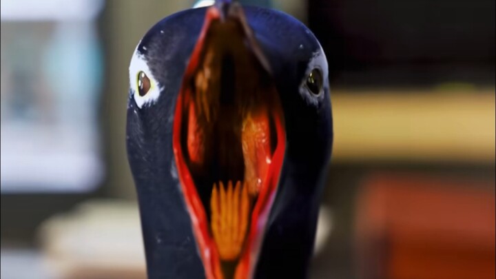 想成为人类🐧🐧🐧