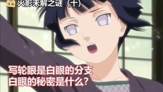 火影忍者：前期设定写轮眼是白眼的分支，那白眼的秘密是什么？