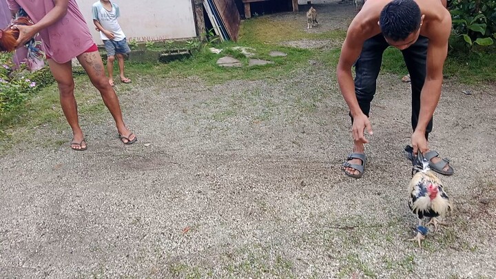 Sayaw Ng Ating Gray