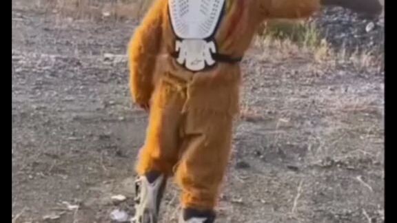 ngộ không này lạ quá