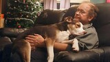 Grandparents Are Smitten with Their Dog, Just Like a Grandchild!