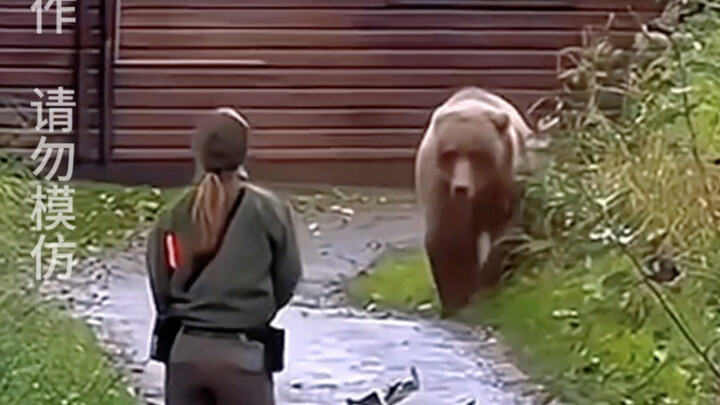Don't panic when you encounter a bear—bear spray has got your back!