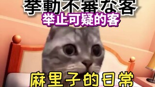 [Video Jepang] Tamu dengan cangkang merah datang mencari Mariko untuk bermain Apex | Meme kucing