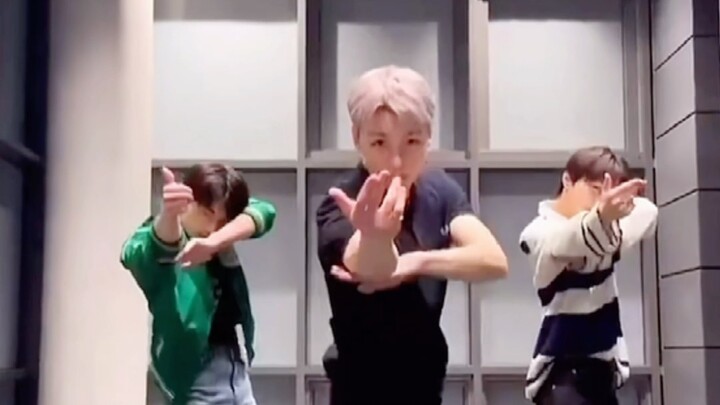 Nghe nói áo polo hợp với “Bite Me” hơn [Choi Han-sol, Vernon & ENHYPEN]