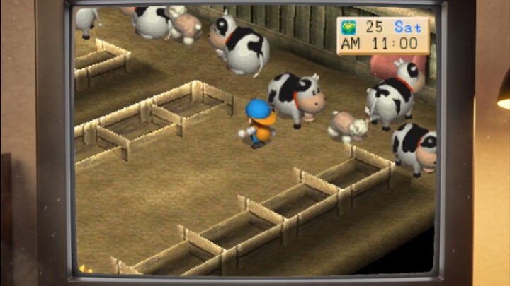 Harvestmoon Back to Nature - Playstation