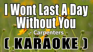 I Wont Last A Day Without You ( KARAOKE ) - Carpenters