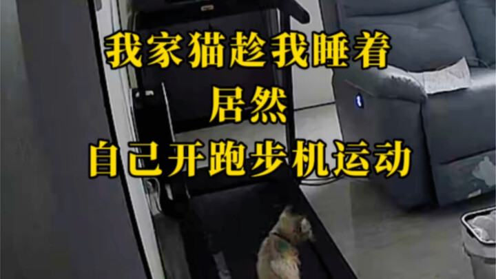 It's time to send Ba Tiao off to school…