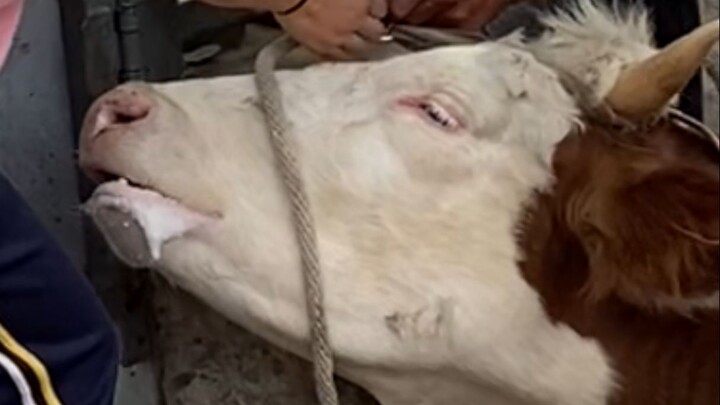 When it comes to life, it doesn't hurt to be a bit ruthless—only then will your days get smoother an