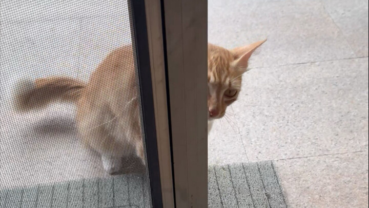 San Jiao Mao: Love your mom. See you tomorrow.