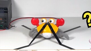 Cô gái Nhật Bản cười đến mức suy nhược khi xem "Đồ chơi điện áp cao"