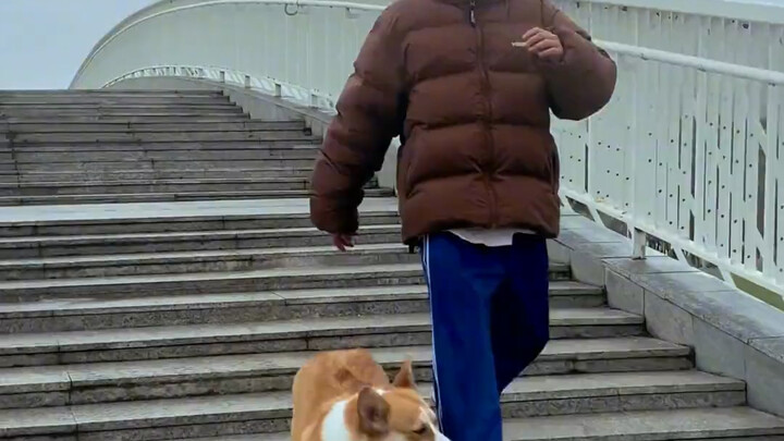 Cara Turun Tangga Panjang dengan Skateboard