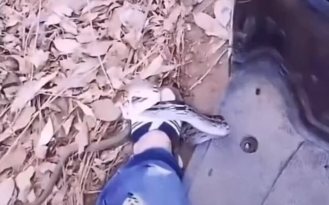 Snake: Crying counts as time too!